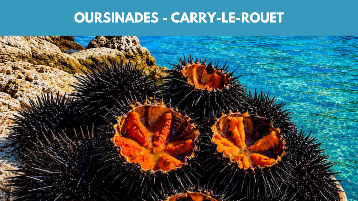 LES OURSINADES &Agrave; CARRY-LE-ROUET 2027